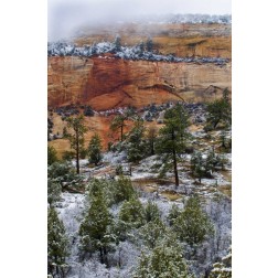 USA, Utah, Zion NP Winter scenic