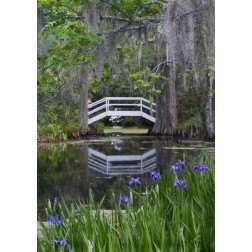 South Carolina, Wood footbridge reflects in pond