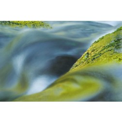 USA, Oregon Water flow over rocks in creek