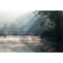 Georgia Sunlit mist on bridge over lake