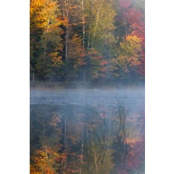 MI, Thornton Lake with fog and tree reflections