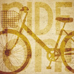 Bike Canvas 2