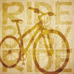 Bike Canvas 1