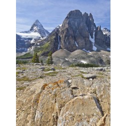 Canada, BC, Mt Assiniboine and Wedgwood Peak
