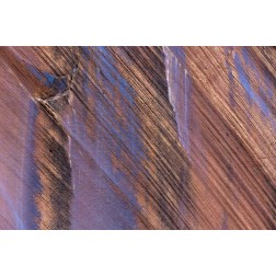 Utah, Glen Canyon Stained patterns on rock wall