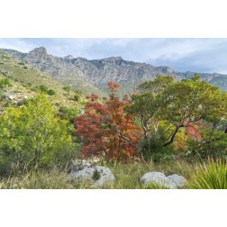 TX, Guadalupe Mountains NP Devils Hall Trail