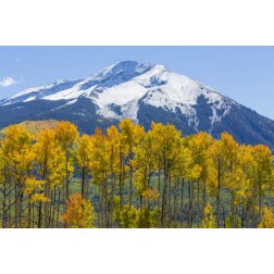 Colorado Fall aspens and mountain