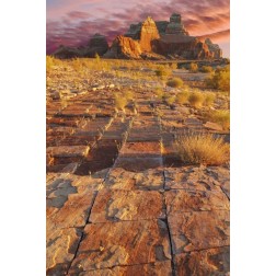 Utah, Glen Canyon Sunset on sandstone formations