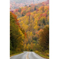 North Carolina Road through autumn forest