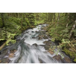 WA, North Cascades Water rushes in Cascade River