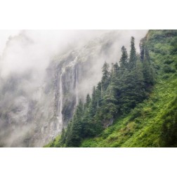 WA, North Cascades NP, Waterfall and fog