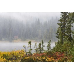 WA, Mount Rainier NP Trees and lake in mist