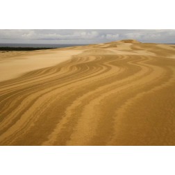 OR, Siuslaw NF, Umpqua Dunes Patterns in dunes