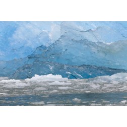 USA, Alaska, Endicott Arm Blue ice and icebergs