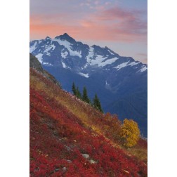 WA, Mount Baker Wilderness View of Mount Shuksan