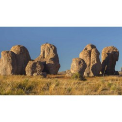 New Mexico, City of Rocks SP Ravens on a boulder