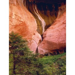 USA, Utah, Zion NP View of Double-Arch Alcove