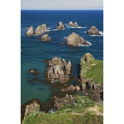 New Zealand, South Is Seascape from Nugget Point