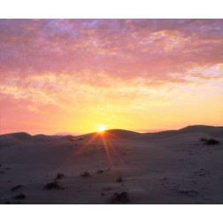 USA, California, Glamis Sand Dunes at Sunrise