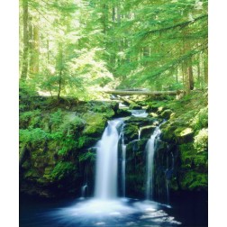 USA, Oregon, Whitehorse Waterfall in Oregon