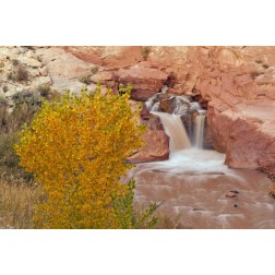 UT, Capitol Reef NP Waterfall on Fremont River