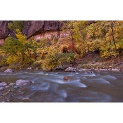 USA, Utah, Zion NP Autumn on the Virgin River