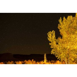 USA, Utah Stary night sky in autumn