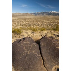 New Mexico, Three Rivers Petroglyph on rock