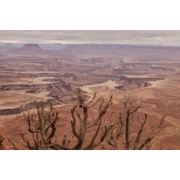 USA, Utah, Canyonlands NP White Rim landscape