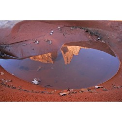 UT, Arches NP Rain puddle reflections