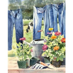 Blue jeans, Zinnias and Cow
