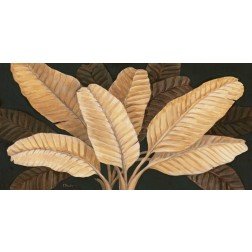 Calypso Leaves I
