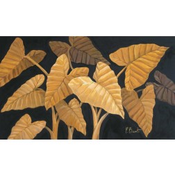 Calypso Leaves II