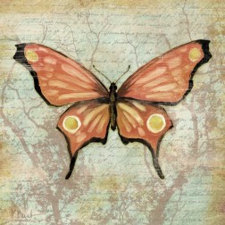 Vintage Butterflies I