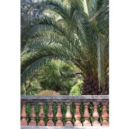 Palace Garden Palms II