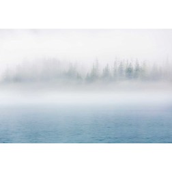 Alaska Fog I