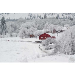 Farm In The Snow