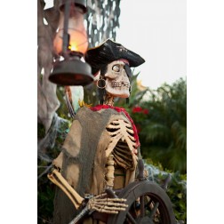 Pirate Skull II