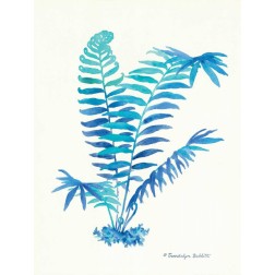 Ombre Fern I