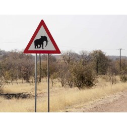Namibia, Damaraland Sign warning about elephants