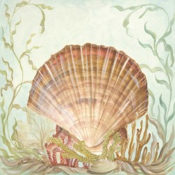 Seashells and Coral III