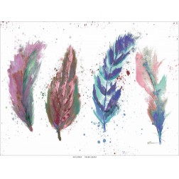 Natures Feathers