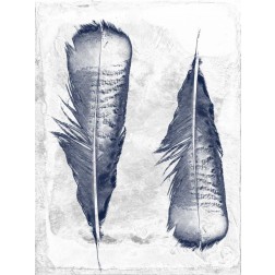 Feather Duo