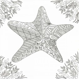 Starfish Amongst Weeds