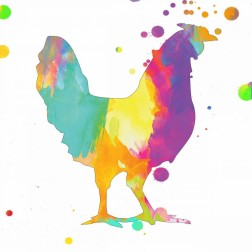 Bubbly Rooster