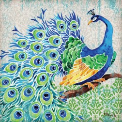 Patterned Peacock I