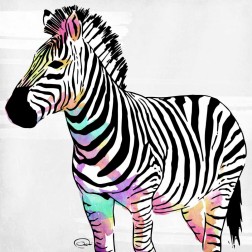 Zebra Head Colorful