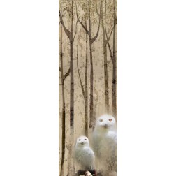 Owls in the Trees 2