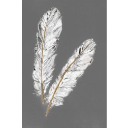 Gold Feathers IV on Grey