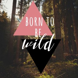 Born to be Wild 2